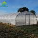 High Strength Easy Installation Poly Tunnel Greenhouse Insect Prevention Increase Production