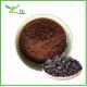 Wholesale Pure Natural Black Goji Berry Extract Anthocyanins 5% 25% Black Goji Berry Powder