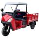 Motorized Tricycle Cargo 3 Tons Tricycles 3 Tires for African Market Performance