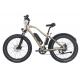 Made In China Factory Direct Supply Hotsale 26inch Fattire Snow Electric Mountain Bike Large Electric Bike Adult E-Bike