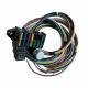 Universal 12 Circuit Hot Rod Wiring Harness For Classic Cars