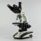 Multi purpose biological microscope BLM-TN136SM