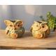 Succulent Creative Animals Ancient Owl Plant Flowerpots