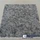 G602 Mayflower Snow Grey China Granite Tile