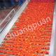 Industrial Scale Tomato Paste Production Line With Tube In Tube Or Tular Sterilizer