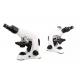 30° Inclined Ergonomics Binocular Research Microscope Infinity Plan Achromatic Objective