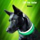 Luxury Nylon LED Dog Collar Printed Training Vest Flashing Usb Rechargeable
