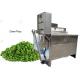 Electric Heating Green Peas Broad Beans Frying Machine 100KG / H CE Passed