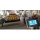 Multi Vibration Plate Counting Automatic Filling Machine For Capsule Tablet