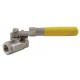Stainless Steel 2 Piece Ball Valve with Spring Return Handle