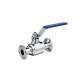Hygienic Two Way Ball Valve Stainless Steel AISI 304 With 180 Degree Rotary Handle