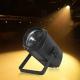 Professional 200W 300W Zoom COB LED DMX Par Light 15 To 60 Degrees