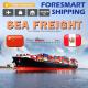 China To Peru International Ocean Freight Forwarders