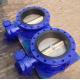 ANSI DIN BS Standard Double Flange Butterfly Valve for Customized Applications