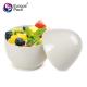 Eco-friendly biodegradable 160ml egg shape Bamboo Fiber  dessert Cup