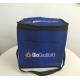 Promotional non-woven ice cream cooler bag/Ice pack/Ice bag
