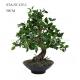 Indoor Cedrala Artificial Bonsai Tree 50CM Height Desk Decoration