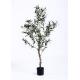 Hand Crafted Olive Tree Bonsai Indoor Indoor Decoration Bright Spot Color Change