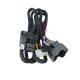 2 Meters Amplifier Wiring Harness Automotive Cable Assembly ISO Certificate