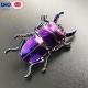 Zinc Alloy Metal Enamel Colorful Cockroach Animal Invertebrate Hexapod Insect Rainbow Plated Lapel Pin