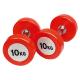 Colorful Commercial PU Coated Dumbbells 2.5-50kgs Weight
