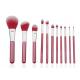 Beautiful Travel Professional Makeup Brush Set 11 Piece With Nylon Hair Red