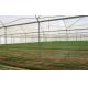 Customized Insect Mesh Netting Hail Damage Protection 30 To 125 G/M2 Weight
