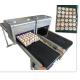 High Output Egg Batch Code Stamping Machine With Low Maintenance Costs
