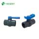 Customizable Black PVC Octagonal DIN Socket/NPT Thread Ball Valve with Blue Long Handle