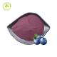 Pure Natural Blueberry Extract Fruit Powder Anthocyanin 25% Blueberry Flavor Powder