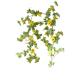 Artificial Flower Daisy Decorative Vines Silk Greenery Stems OEM