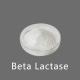 White Powder Like Beta Lactase Enzyme In Milk 10000ALU-100000ALU