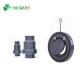 Thread Connection Grey Color Swing Check Valve PVC Double Flange Union Check Valve for Industry