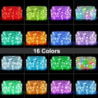 24V RGB Changeable LED Holiday Lights Decoration Remote Control
