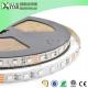 RGB CC type 15m 5050smd Led Strips 60leds Constant current RGB LED tapes full color 5050 dc24v 5050SMD CC RGB led strips