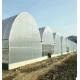 Film Covered Large Multi-Span High Tunnel Greenhouse for Large-Scale Cultivation