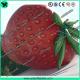 Event Inflatable Fruits Model/Inflatable Strawberry Replica