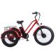 Front 24 Rear 20 Snow Tire Electric Tricycle with SHIMANO Rear 7-Speed and 48V15A Battery