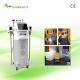 Non-invasive Weight Loss Cryolipolysis slimming beauty machine for whole body