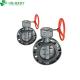 Economic Plastic PVC Gear Butterfly Valve Customized Request and Structure Butterfly