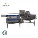 Salad Leaf Vegetable Processing Line Take Your Salad Production to the Next Level