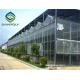 Hermetic Agricultural Glass Greenhouse , Venlo Greenhouse Structure Aluminium Alloy Roof