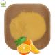 Top selling orange fruit powder orange flavour powder