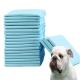 Small Animals Pet Training Pad for Urine Absorption and Agility Training