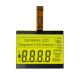 Customized COG LCD Display Dot Matrix Liquid Crystal Display FSTN Transflective