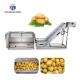 Stainless Steel Fruit And Vegetable Processing Line Brush Cleaning And Hoisting