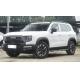 Chinese Pastoral Dog Version Haval Vehicle Haval Dargo 2022 2.0T DCT 4WD 5 Door 7 Seat