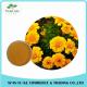 Eye Health Product  Marigold Powder Extract  Lutein 5 % - 20 %