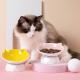 Cat Ears 20 Degree Elevated Tilted Cat Bowls Raised Macaron Color Ceramic Dog Bowls