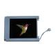 KCG057QV1EA-G030 5.7 inch 320*240 LCD Screen Module For Kyocera